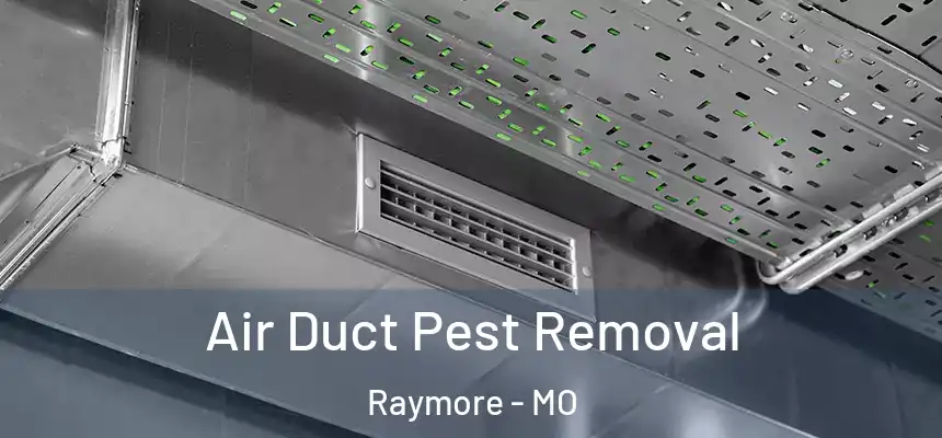  Air Duct Pest Removal Raymore - MO