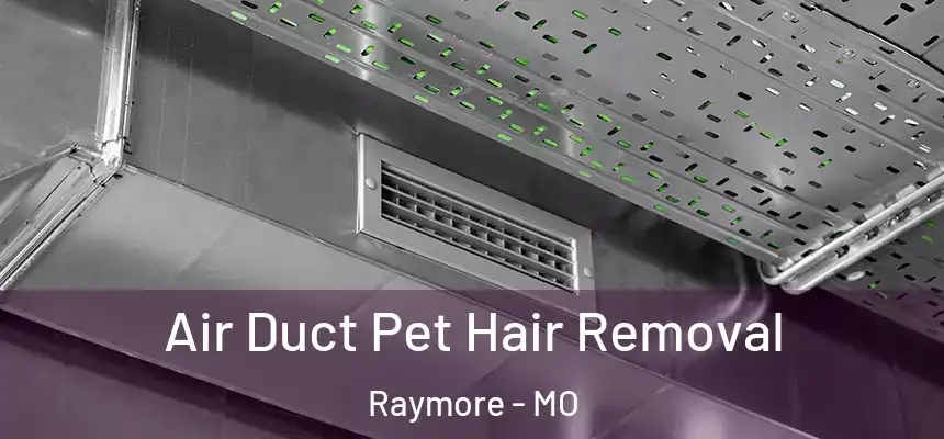  Air Duct Pet Hair Removal Raymore - MO