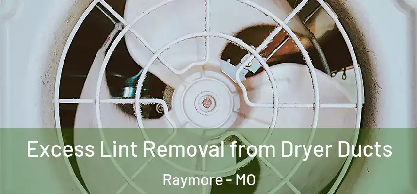  Excess Lint Removal from Dryer Ducts Raymore - MO
