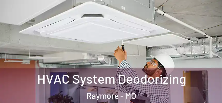 HVAC System Deodorizing Raymore - MO