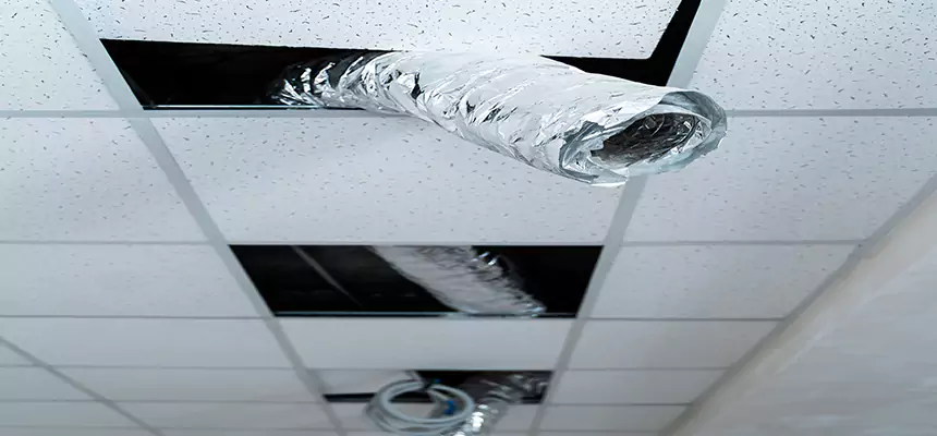 Affordable HVAC Sanitizing After Pest Removal in Raymore