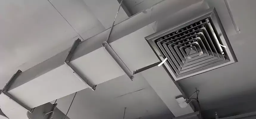 Restorative Allergy Relief Vent Cleaning – Coil, Blower & Housing Detail in Raymore