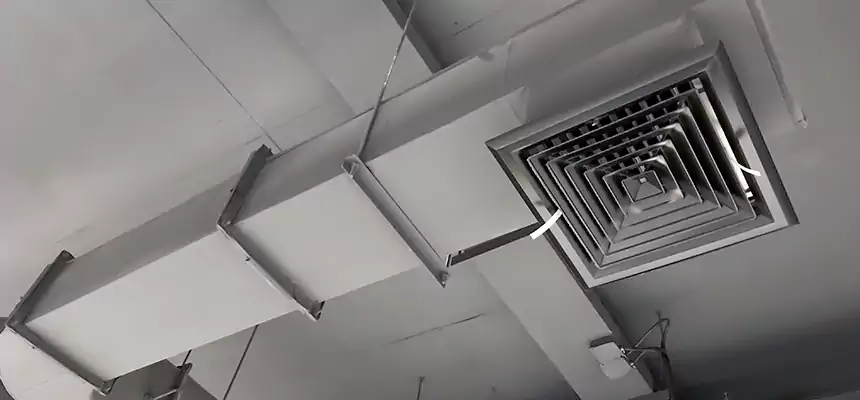 Our Pest Removal From Ducts Services in Raymore, MO