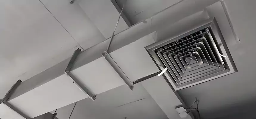 Our Rodent Droppings In Vents Services in Raymore, MO