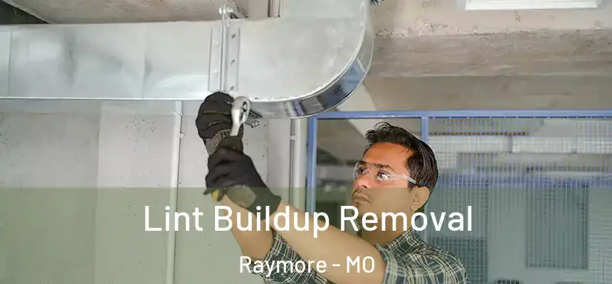  Lint Buildup Removal Raymore - MO