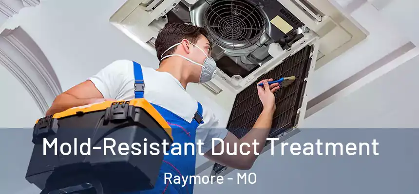  Mold-Resistant Duct Treatment Raymore - MO