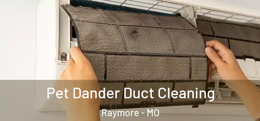  Pet Dander Duct Cleaning Raymore - MO