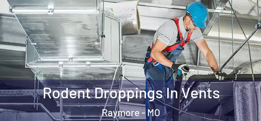  Rodent Droppings In Vents Raymore - MO