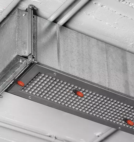 About Air Duct Cockroach Removal in Raymore, MO