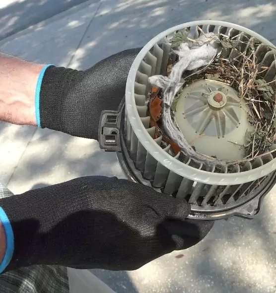 About Air Duct Mice Removal in Raymore, MO