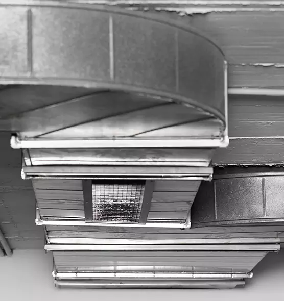 Professional Air Duct Pest Removal in Raymore, MO