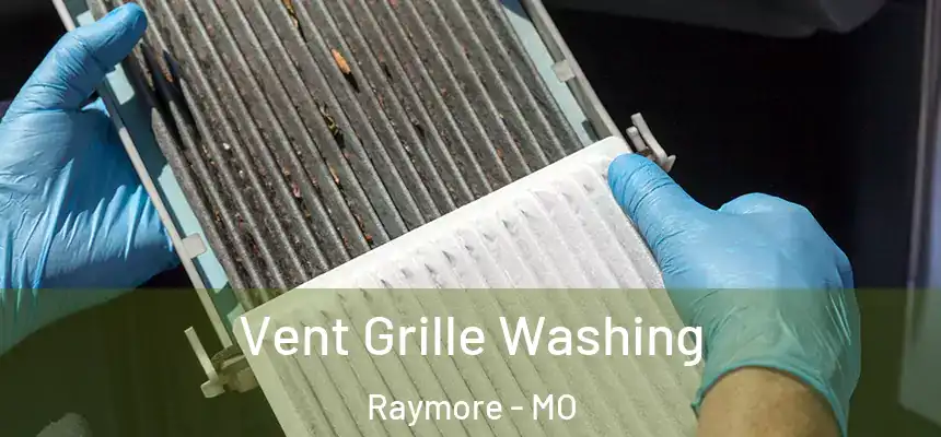  Vent Grille Washing Raymore - MO